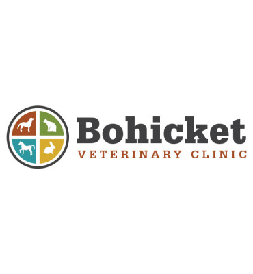 Bohicket Vets Logo Design